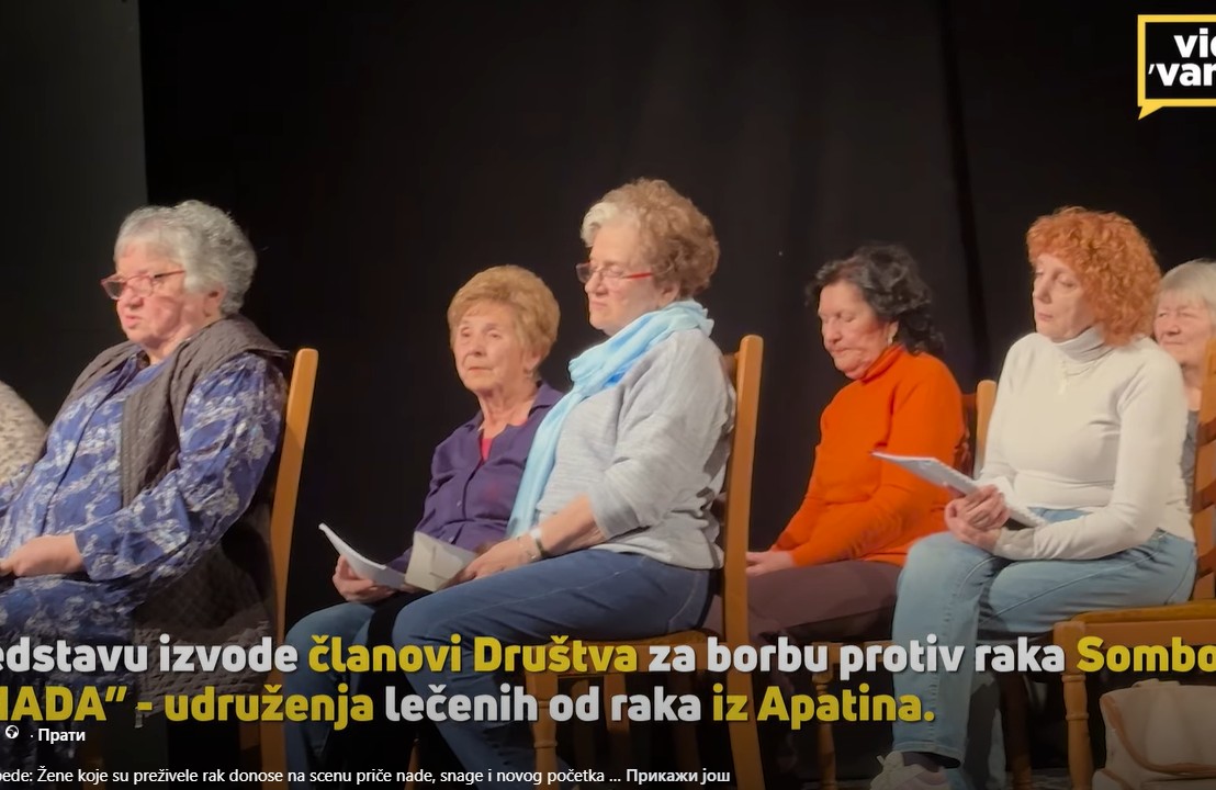 Prilog o predstavi i društvu